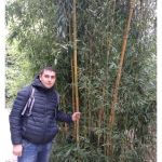 Dmitry, 30 лет